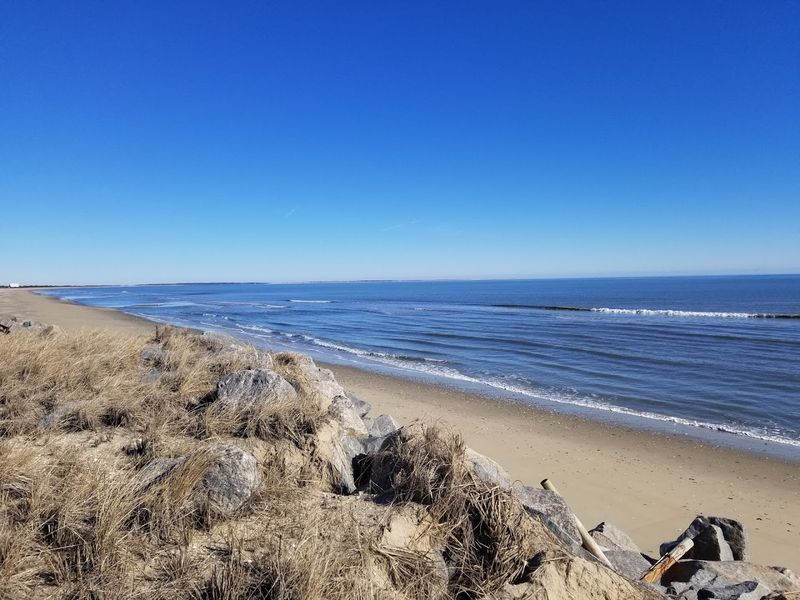 The Natural Beauty of Wallops Island: Beaches, Birds, and Barrier Magic