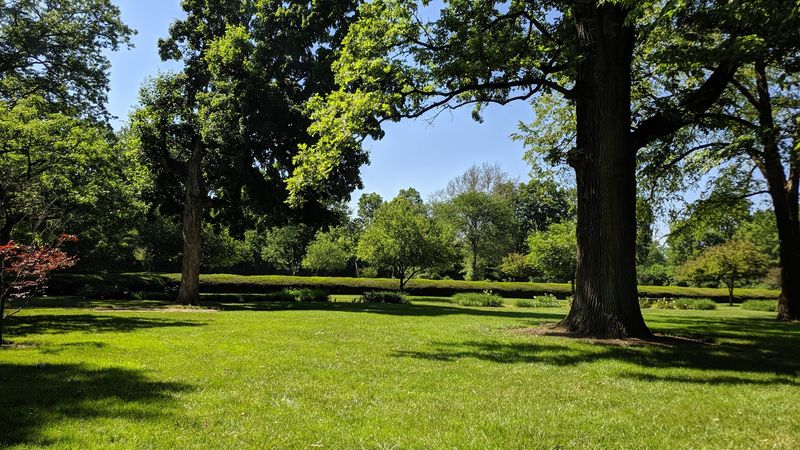 A Perfect Spot for Photos, Picnics, and Simply Slowing Down