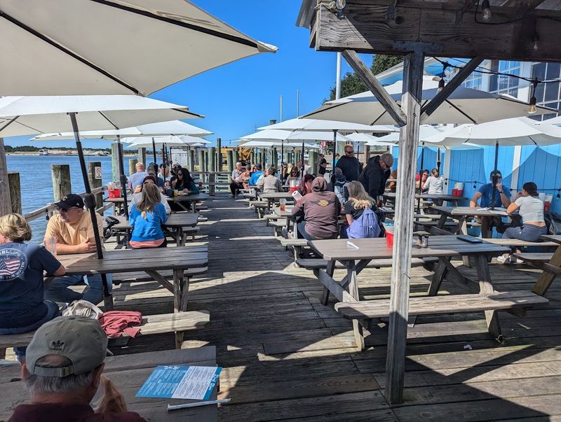 Pet-Friendly Outdoor Spaces for the Four-Legged Crew