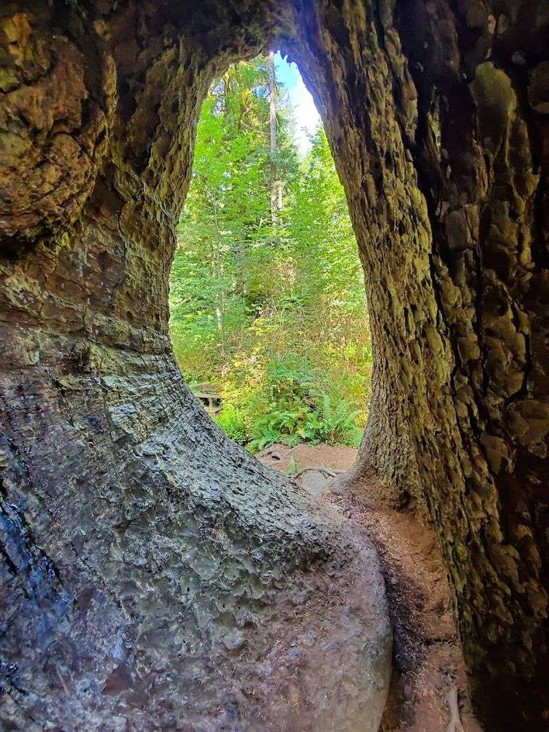 Best Time of Day to Visit