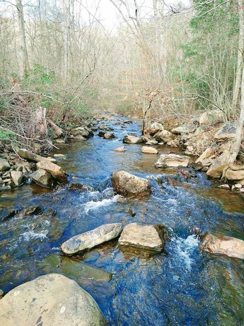 White Rock Gap Trail: The Gentlest Path to the Parkway