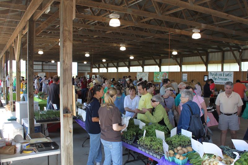 Seasonal Themed Events That Make Every Visit Feel Different