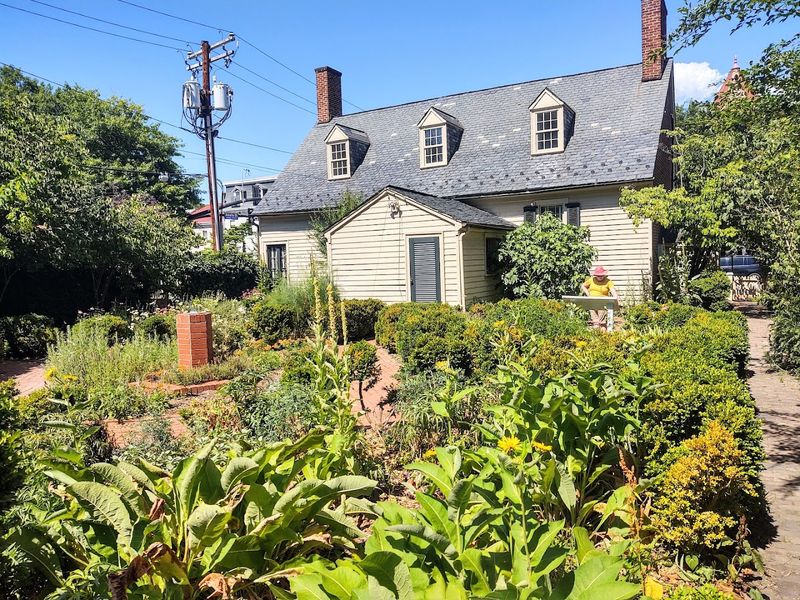 The Herb Garden Out Back That Is Quietly Spectacular