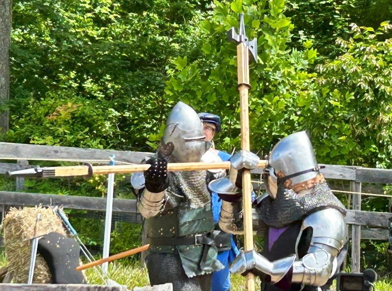 Jousting, Juggling, and Jaw-Dropping Performances