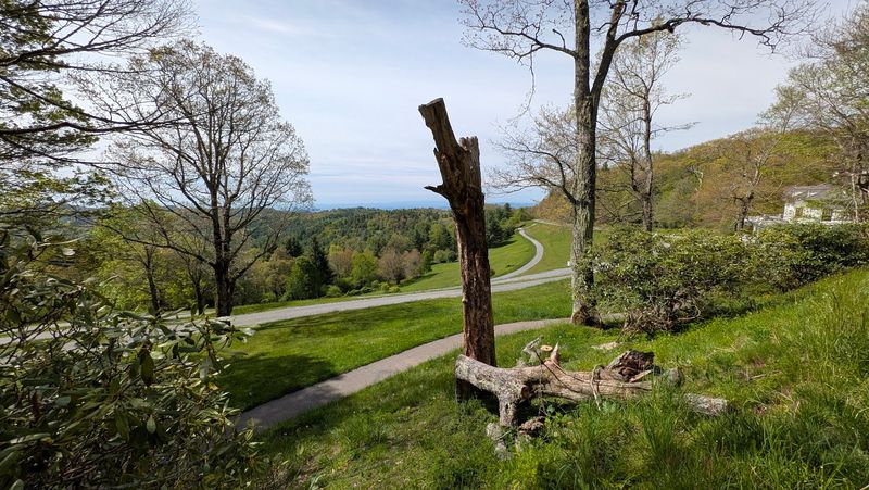 Picnic And Bench Spots That Make You Stay Longer