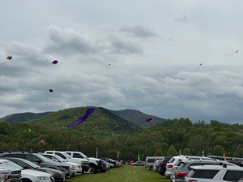 Food Trucks Galore: Fueling the Festival Fun