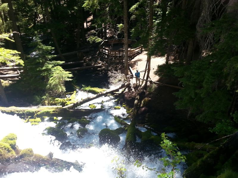 Climbing to the Top of the Falls
