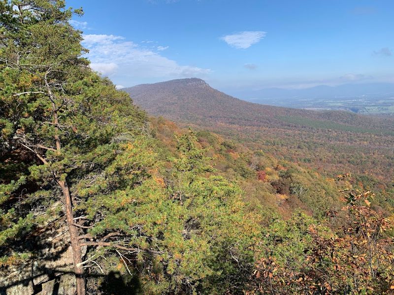 Nearby Attractions to Pair With Your Visit