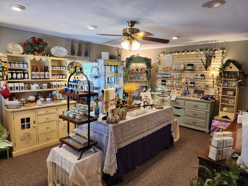The Lavender Patch Gift Shop Is a Treasure Hunt