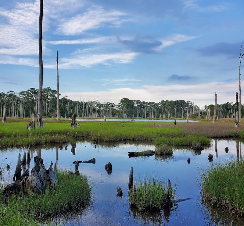 Wildlife Spotting That Rivals Any Nature Reserve