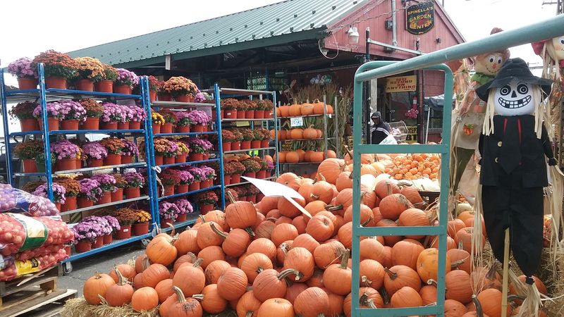 The Community Atmosphere That Keeps Drawing People Back