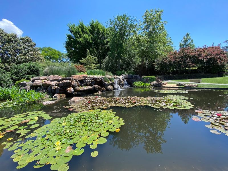 Garden Chef Series: Where Food Meets the Garden