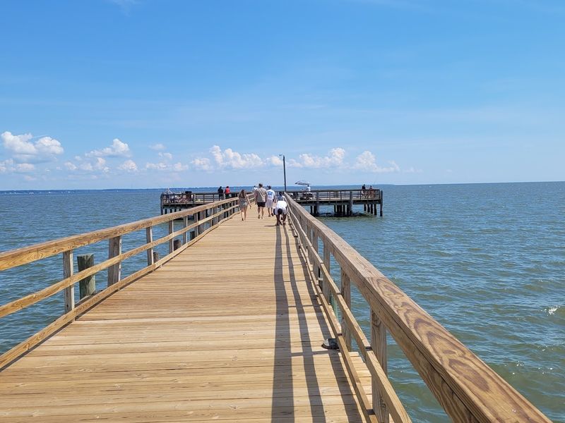 Fishing After Dark And The Unexplained Sounds Below