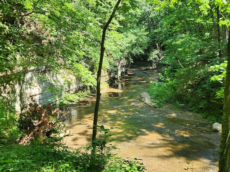 Rich Diversity of Native Plants and Wildlife Along the Trail