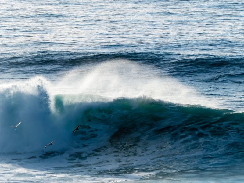 Storm Watching and King Tides: The Ocean at Its Most Dramatic