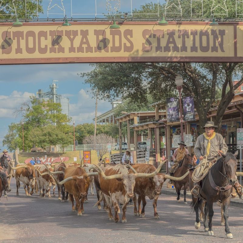 Planning Your Visit: Making the Most of the Stockyards