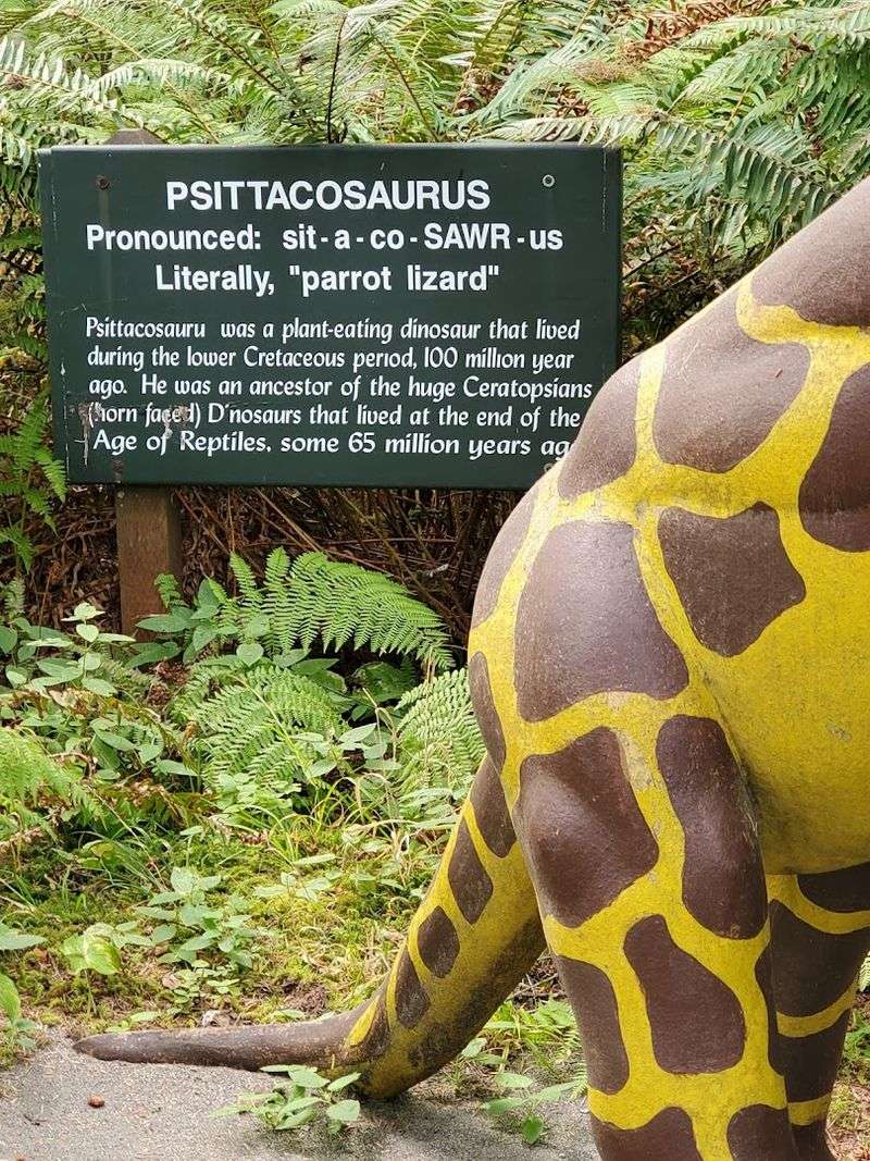 The Informational Signs That Make It Educational