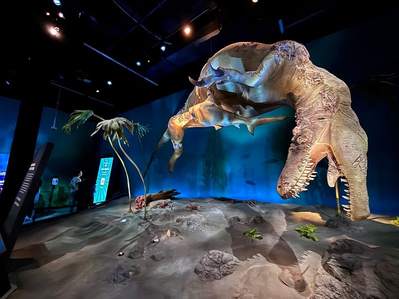 Virtual Reality Experience: Prehistoric Worlds Without the Time Machine