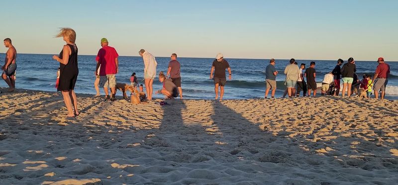 Overcrowding Popular Spots During Peak Season