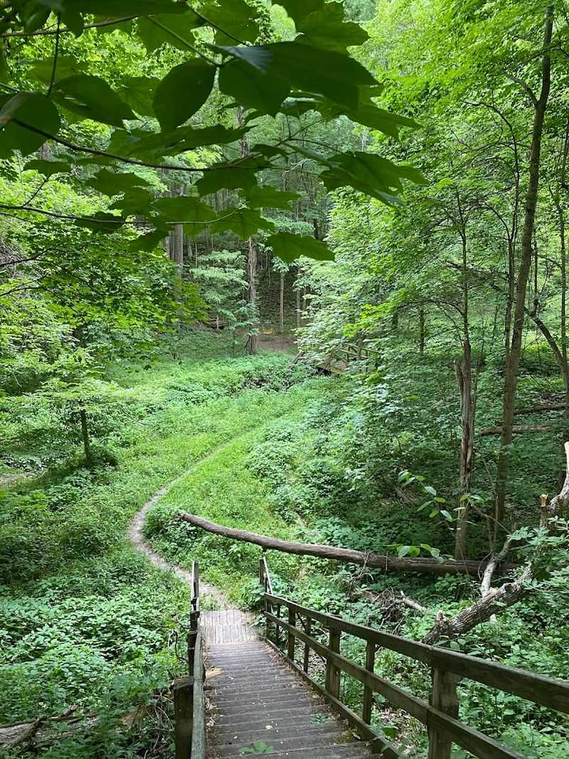 A Short and Easy Loop Perfect for Families and Beginners