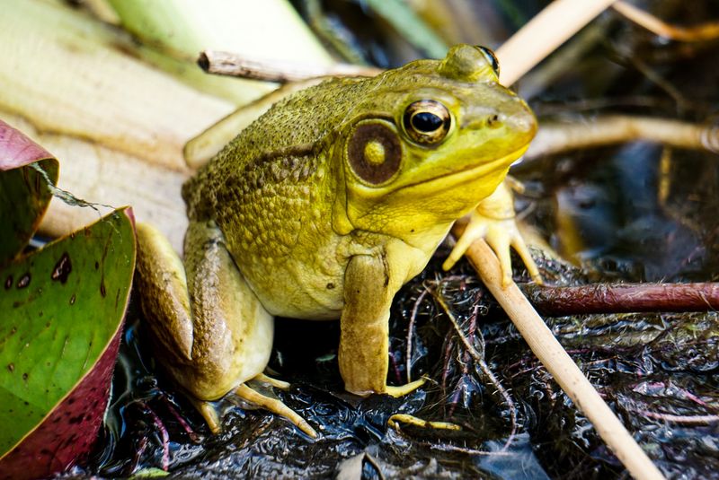 A Tranquil Escape Just Minutes from the City