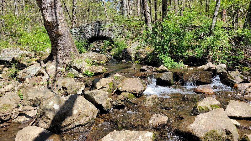 Why Ken Lockwood Gorge Earns Its Crown Jewel Status in New Jersey