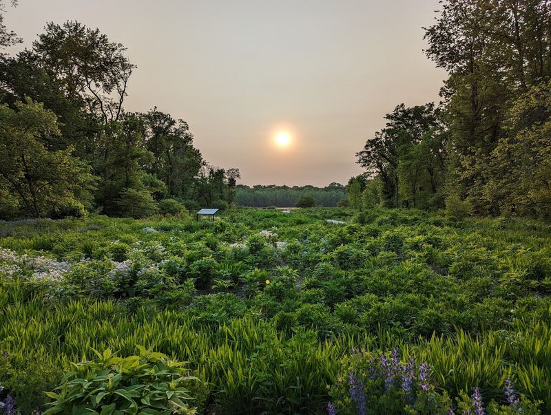 The Natural Beauty Changes With Every Season