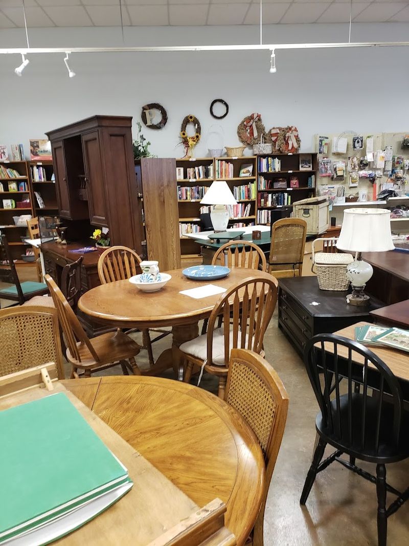 Books, Toys, and Small Finds Worth Digging For