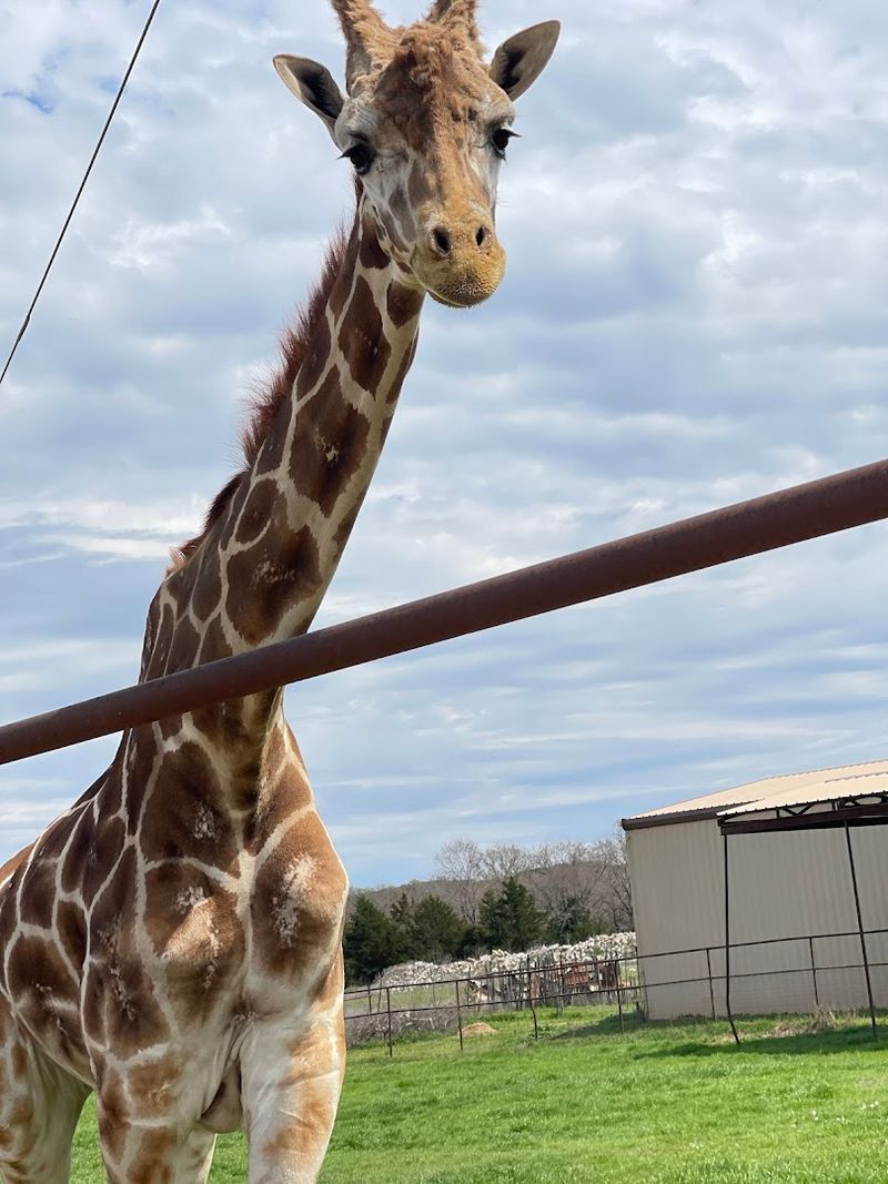 Getting There and Planning Your Visit Makes All the Difference