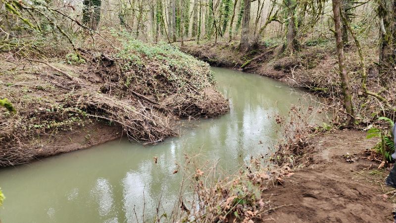 Yamhill River Trails: Nature Right at the City's Edge
