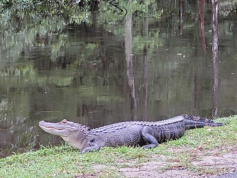 Spring Packing Notes, Bugs, Breezes, And Comfortable Shoes