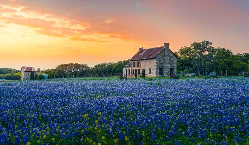 Bluebonnet Country at Its Best