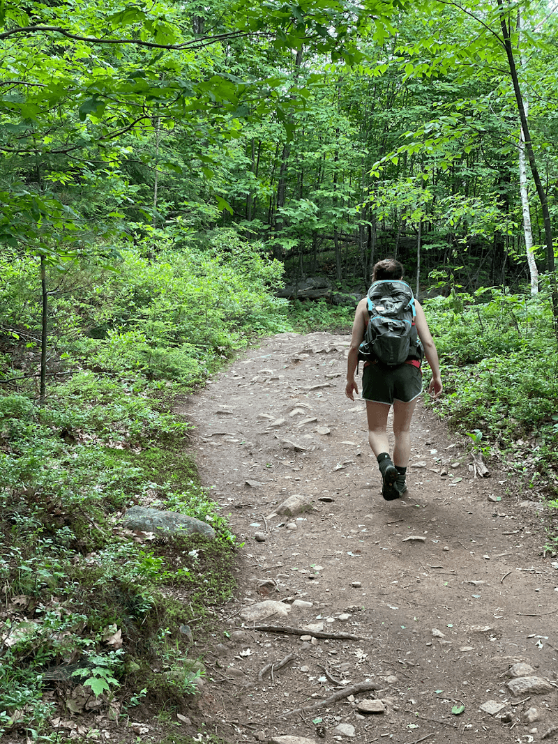 Stay on Marked Trails to Protect Yourself and Nature