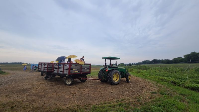 Tractor Wagon Rides Across the Farm