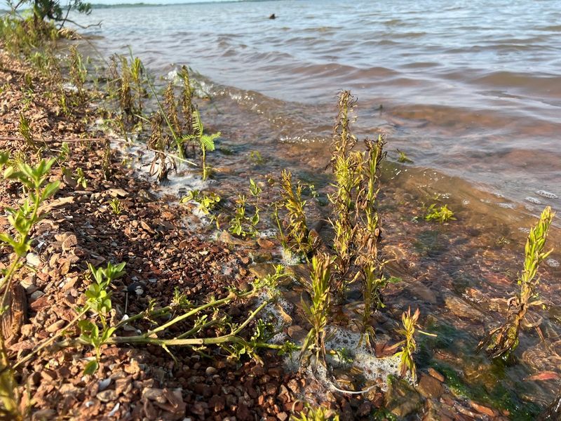 The History Hidden Beneath the Surface of the Reservoir