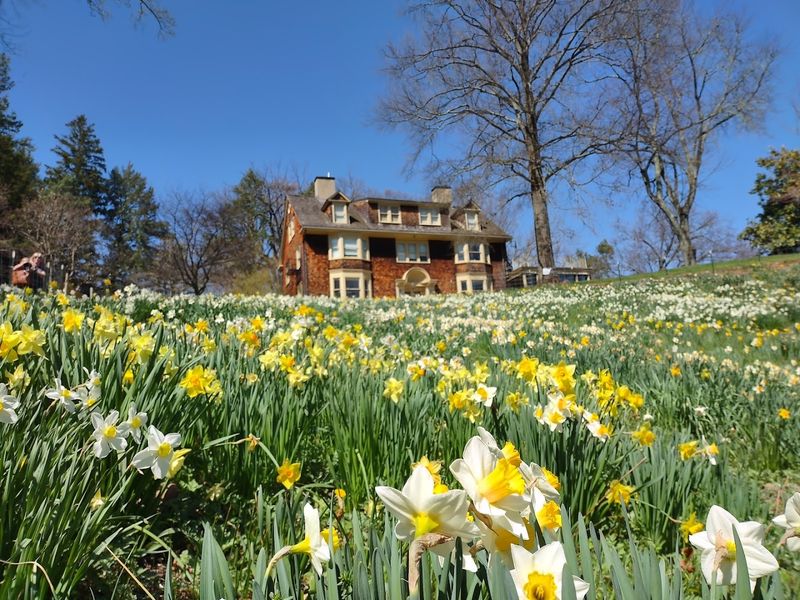 Reeves-Reed Arboretum