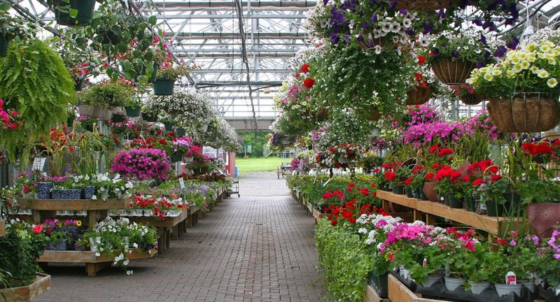 The Garden Center: Where Green Thumbs Find Their Happy Place