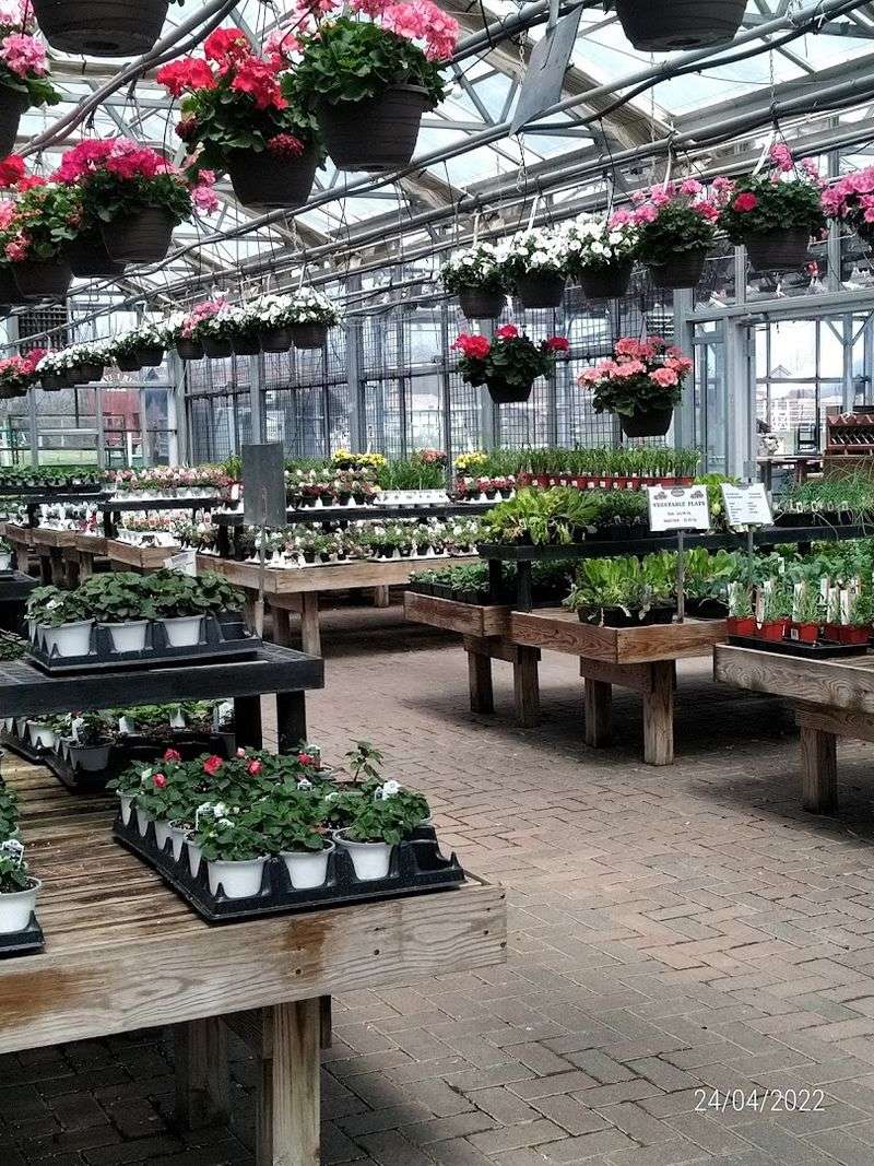 The Garden Center Where Green Thumbs Come to Life
