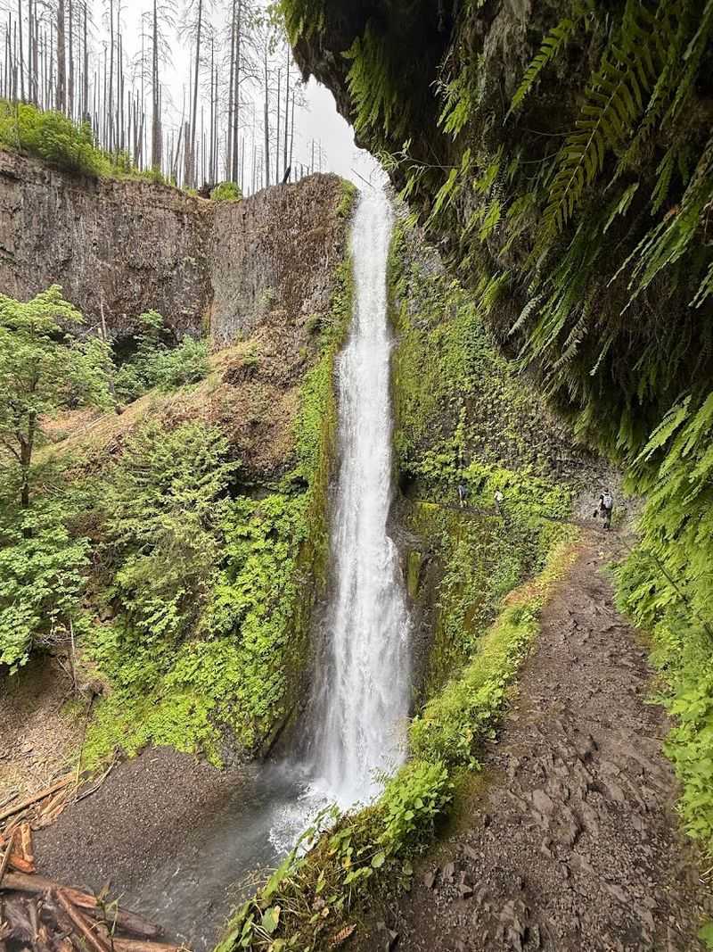 Eagle Creek To Tunnel Falls 