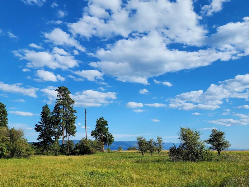 Wildlife And Bird Moments That Pop More In Shoulder Season