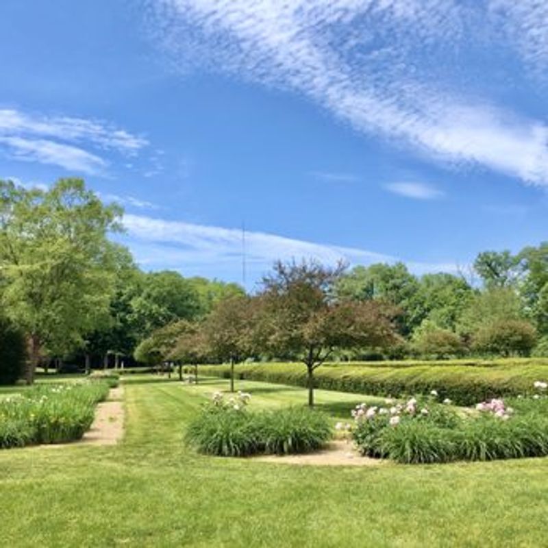 Community Planting Efforts That Make the Garden Feel Alive