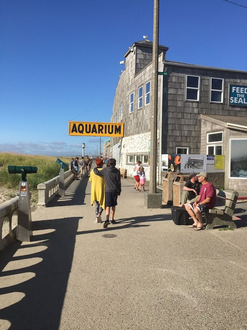 The Seaside Aquarium Quietly Holds Its Own