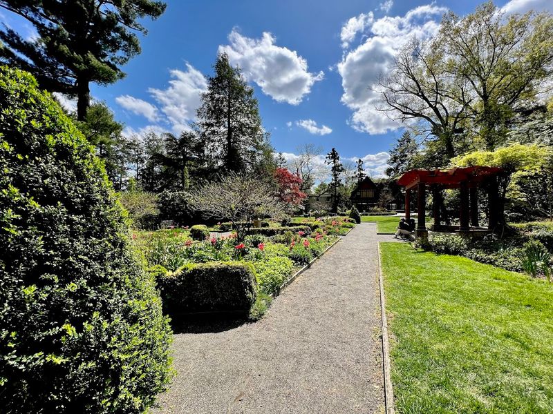 A Photographer's Garden With No Bad Angles