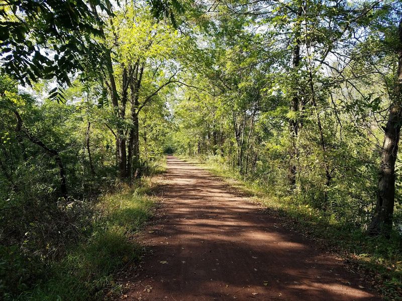 Fishing, Walking, and Slowing Down