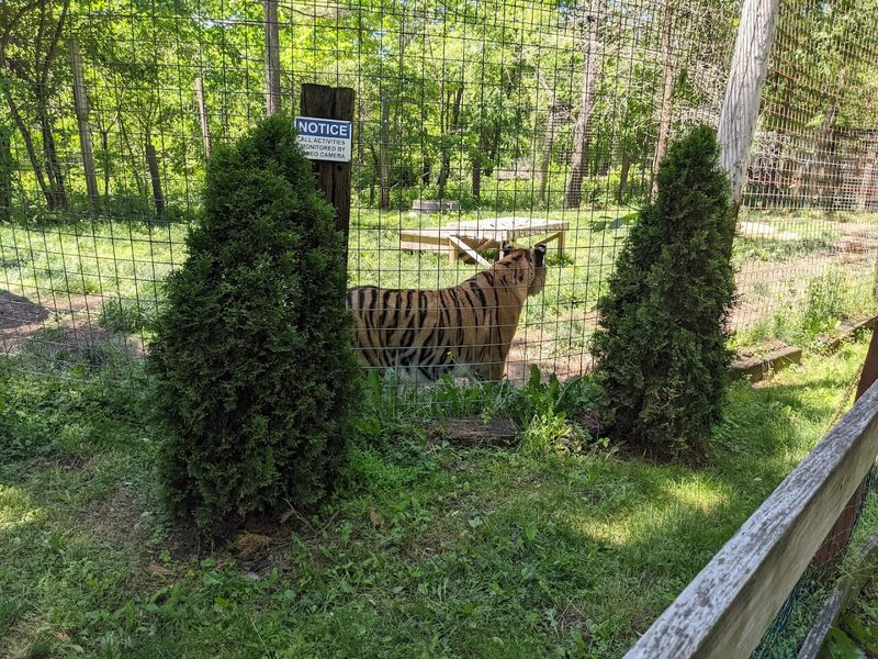 GFAS Accreditation Guarantees Ethical and Responsible Standards