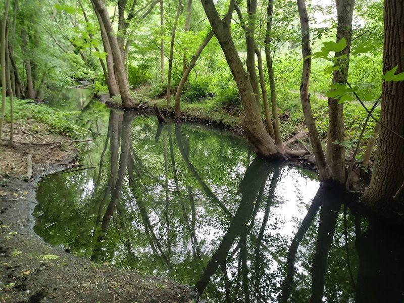 Planning Your Visit to This Suburban Oasis