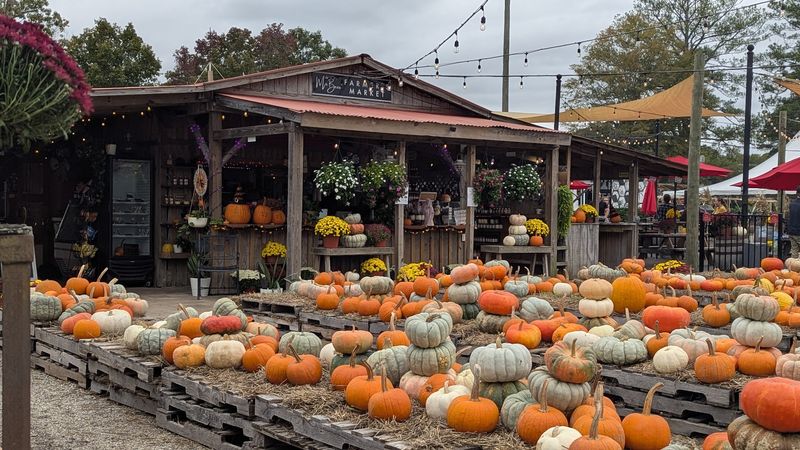 The Season That Turns Chesapeake Into Halloween Central