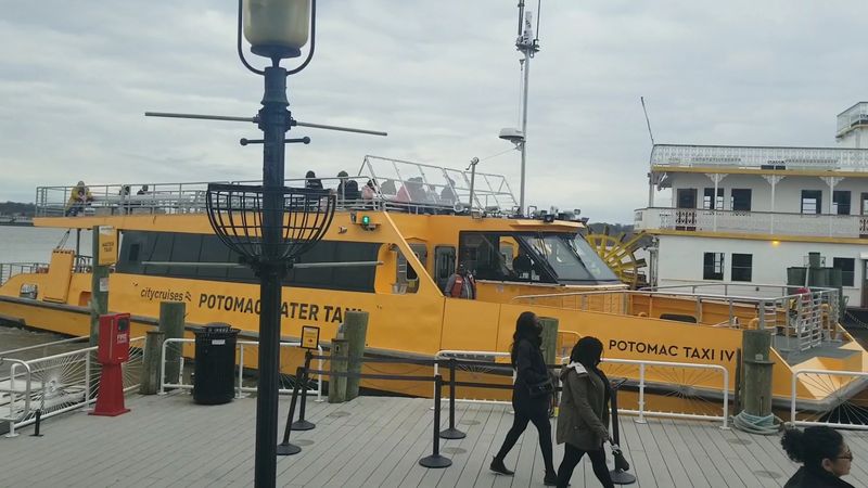 Potomac Water Taxi: Alexandria's Scenic but Saturated Route