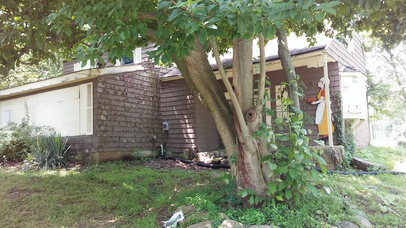 The Battle of Short Hills and Its Connection to the Farm