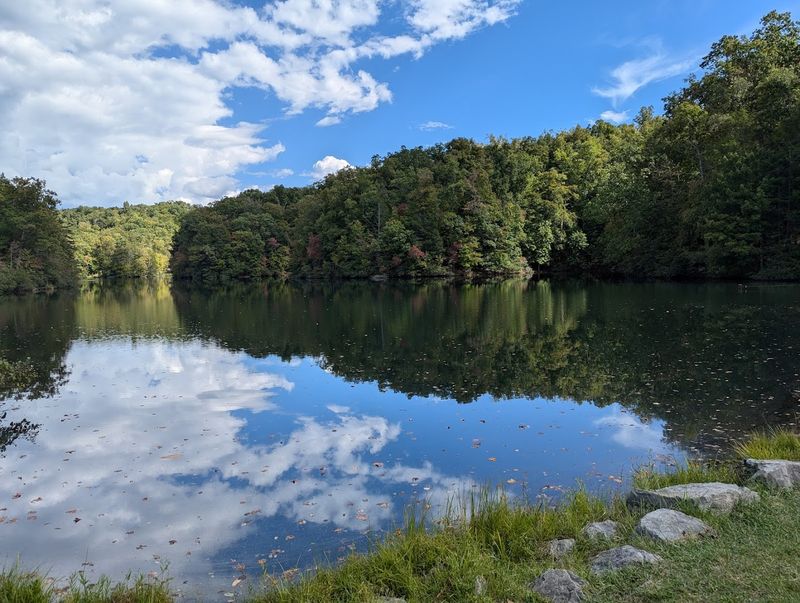 Laurel Lake: Fishing, Paddling, and Pure Relaxation